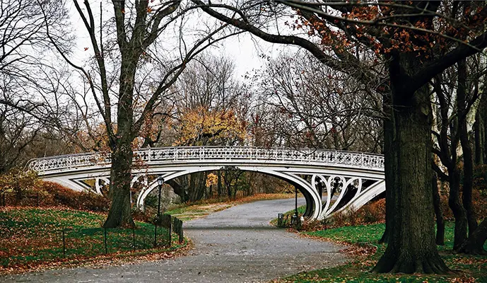 Central Park Walking Tour - Image 4