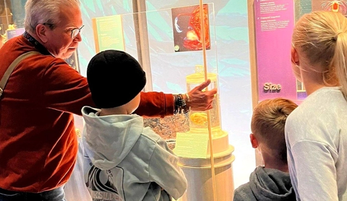Combo: National Museum of Natural History + American History Museum - Image 4