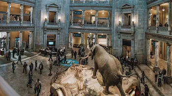 Smithsonian National Museum of Natural History Tour